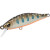 24157851-
			157851<br>Iwana